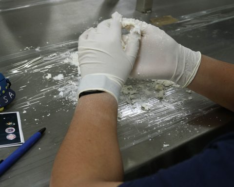 A través de actividades y visitas a museos, la Facultad de Ciencias Biológicas de la Máxima Casa de Estudios del Estado despeja dudas y mitos de los niños sobre la paleobiología
